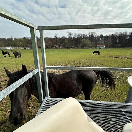 Glamping - Stylova Maringotka V Srdci Ladova Kraje, Pobliz Hlavniho Mesta Prahy Stribrna Skalice 외부 사진