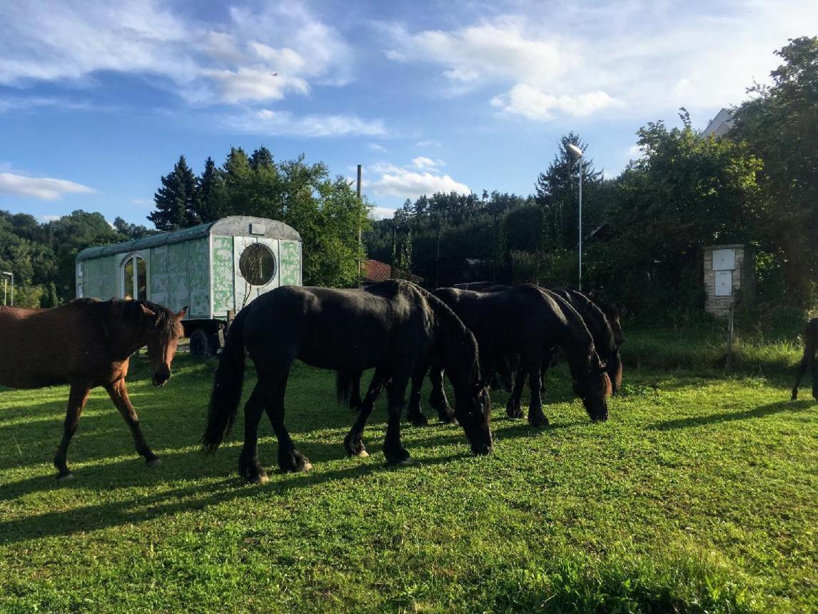 Glamping - Stylova Maringotka V Srdci Ladova Kraje, Pobliz Hlavniho Mesta Prahy Stribrna Skalice 외부 사진